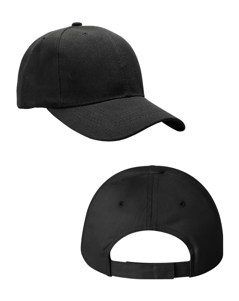 Panthers Structured Baseball Cap – Embroidered Logo (PANTHERS on Back Option)