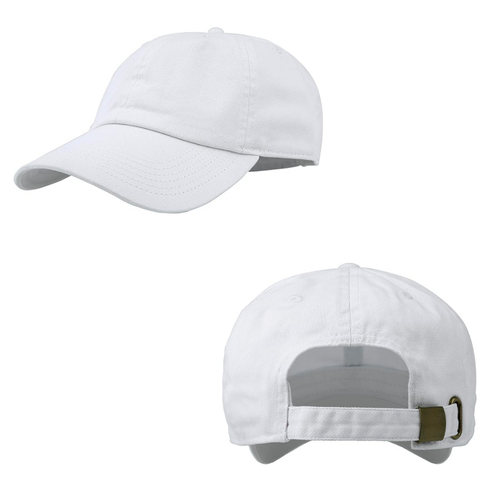 EMBROIDERED Panthers 3d-Puff with Pawprint Baseball Hat - ADULT