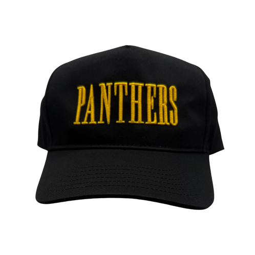 EMBROIDERED Panthers 3D-Puff Hat- Tall Letters -ADULT