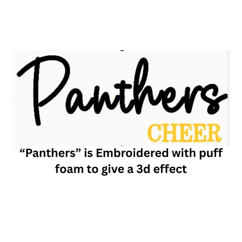 EMBROIDERED Panthers 3d puff Cheer-White Hoodie - YOUTH