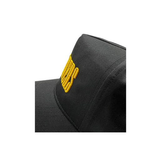 EMBROIDERED Panthers 3D-Puff Hat- Tall Letters -ADULT