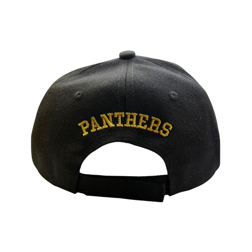 Panthers Structured Baseball Cap – Embroidered Logo (PANTHERS on Back Option)