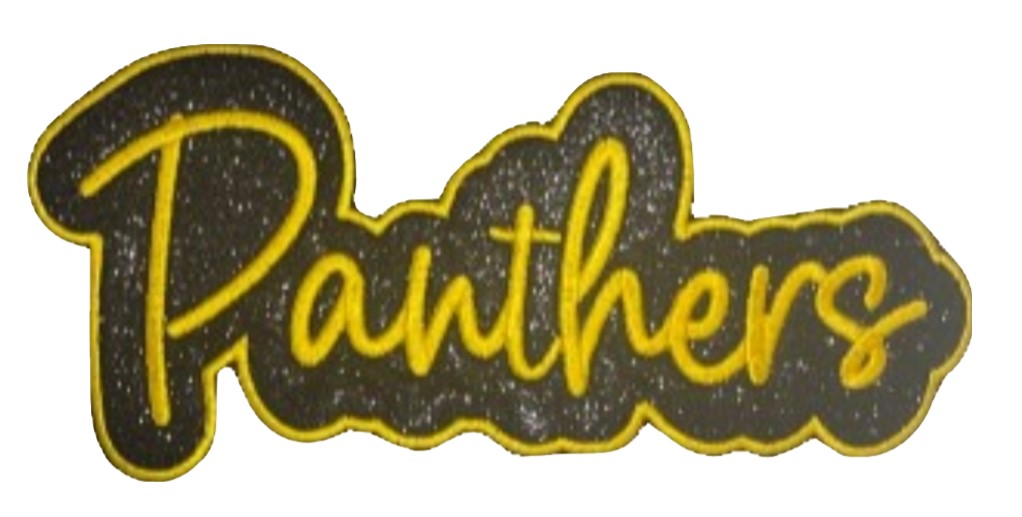 EMBROIDERED Panthers Bubble with Glitter Hoodie - YOUTH