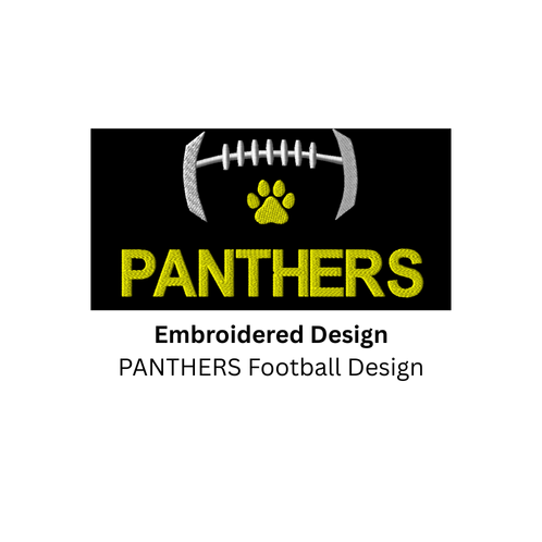 EMBROIDERED Panthers Football Hoodie - YOUTH