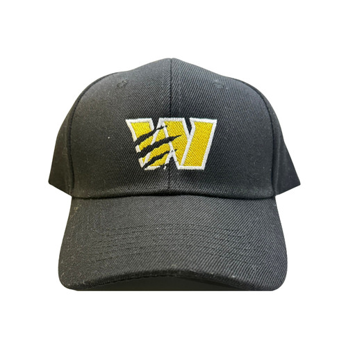 Panthers Structured Baseball Cap – Embroidered Logo (PANTHERS on Back Option)